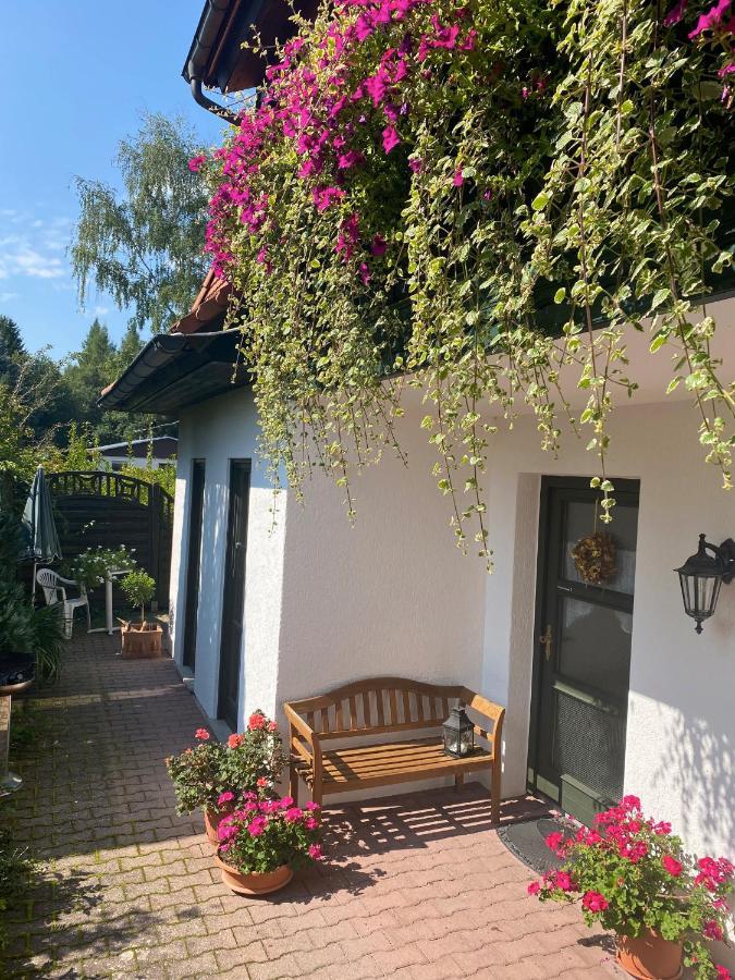 Ferienwohnungen Elsterblick Bad Elster Exterior foto