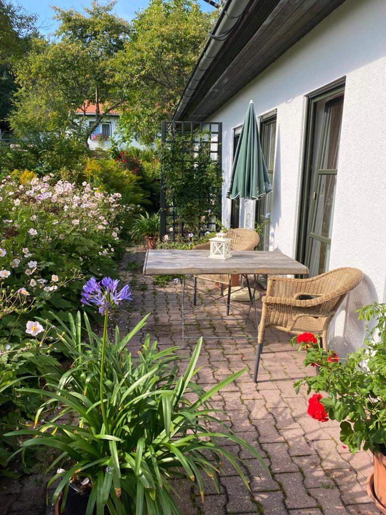 Ferienwohnungen Elsterblick Bad Elster Exterior foto