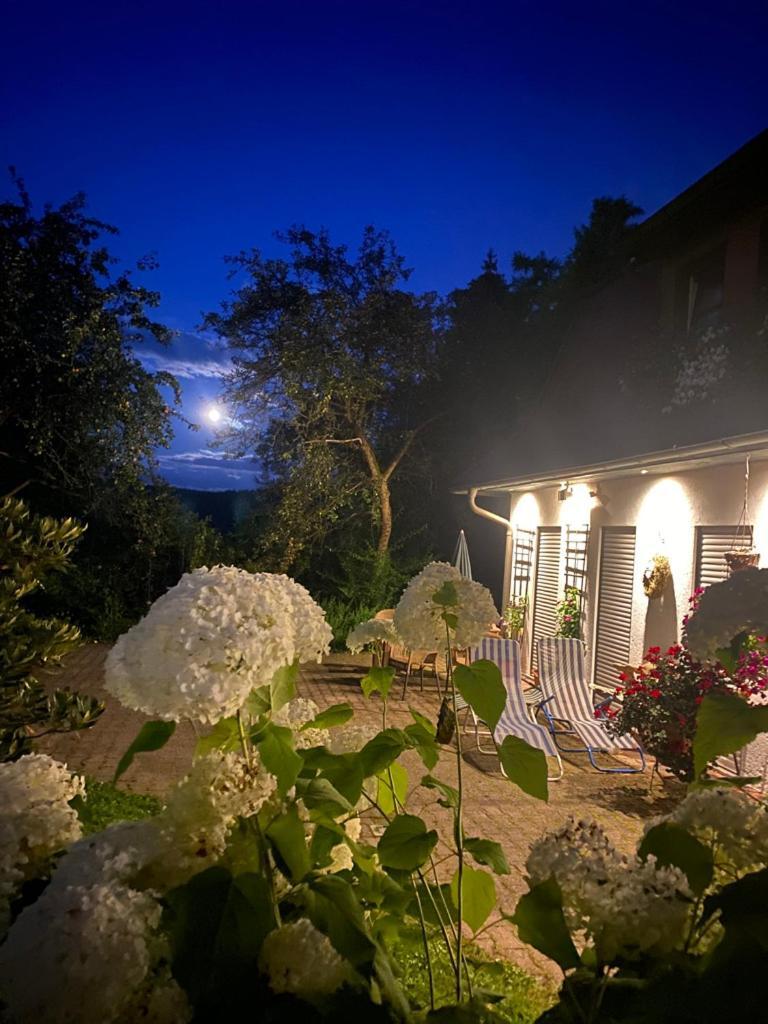 Ferienwohnungen Elsterblick Bad Elster Exterior foto